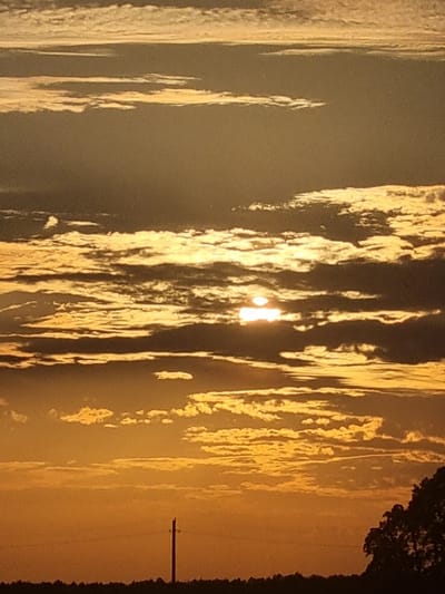 An outdoor, vertical, eye-level shot shows a sunset over Žygaičiai, Lithuania. The sky is filled with an array of clouds ranging in color from dark gray to bright yellow, indicating the sun is setting. The sun itself is visible as a bright, white-hot orb peeking through a break in the clouds, casting a warm, golden light over the scene. Silhouetted against the vibrant sky are a power pole in the center-left and the top of a tree on the right. The horizon line is barely visible, suggesting a flat landscape below the sky. The overall impression is one of peaceful twilight.