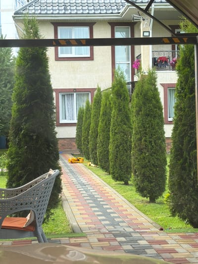 The image shows a residential building with green trees and a paved walkway. The building has a light-colored facade with brown trim around the windows. There are several windows visible, some with white curtains. In front of the building, a row of tall, conical green trees is planted along the walkway. The walkway is made of colorful interlocking pavers in shades of red, yellow, gray, and white. To the right of the walkway, there is a green lawn. In the foreground, a portion of a gray wicker chair with an orange cushion is visible. In the background, there is a yellow toy construction vehicle on the walkway. The scene appears to be an outdoor residential area, possibly a backyard or a side yard, with the sun shining, suggesting daytime. The location is identified as Solnechnogorsk, Russia.