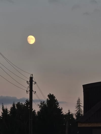 This is a vertical, nighttime, outdoor photograph of a full moon. The moon, with a visible texture and a yellowish hue, is positioned in the left quadrant of the frame. A power line pole with multiple wires stretches diagonally across the right side of the image, silhouetted against the sky. Dark silhouettes of trees and foliage are visible on the right and at the top of the frame, with a sliver of a dark roofline in the upper right corner. The sky is a gradient of grey with hints of pink, suggesting twilight or a cloudy night. There are no people or visible text in the image. The overall mood is somewhat serene and atmospheric, with the illuminated moon providing a focal point amidst the dark natural and man-made elements. The setting appears to be rural, given the presence of power lines and natural vegetation, consistent with a location like Rakaŭski Sel'ski Savet, Belarus.