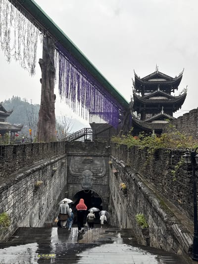 This image captures a wet, overcast day in Pengshui Miao and Tujia Autonomous County, China, within a traditional-style architectural complex. The foreground features a wide, reflective stone staircase descending into a dark, arched tunnel entrance. The steps are wet from rain, and a yellow "小心地滑" (Caution: slippery floor) sign is visible on the bottom step.
Five to six individuals are walking down these steps towards the tunnel. Several are holding clear umbrellas. The figure closest to the viewer wears a light grey, fuzzy jacket and a white hat, carrying a clear umbrella. Another individual in a red hooded top and dark trousers walks ahead. The tunnel entrance is adorned with a prominent relief sculpture of a bull's head, featuring large horns and a metal ring attached to its nose.
The staircase is flanked by high walls constructed from dark, rough-hewn stone, which extend upwards and horizontally. These walls feature small planters with greenery and flowers. To the upper right, a tall, dark, multi-tiered pagoda-style building with distinctive curved roofs is visible, integrated with the stone wall structures. To the upper left, another traditional dark-roofed building and a large, gnarled tree trunk or sculpted pillar are present.
An elevated, sloped structure with a green corrugated roof stretches diagonally across the upper portion of the frame. From this structure, dense curtains of purple, string-like decorative elements hang, resembling wisteria blooms, with a sparser section of white strands to the left. Distant mountains are faintly visible in the background beneath a cloudy sky.