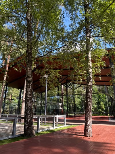 The image shows an outdoor scene with a modern building that appears to be a sports facility, possibly a padel court, as indicated by text on the glass facade. The building has a distinctive reddish-brown exterior and large glass panels that reflect the surrounding greenery. Two large birch trees with lush green foliage are prominent in the foreground, their branches extending across the frame. One of the trees is growing through a wooden deck that is also visible in the image. The deck is made of reddish-brown planks and appears to be a walkway or seating area. The ground around the building and the deck is covered with green grass. In the background, more trees and vegetation are visible, suggesting a wooded or park-like setting. The scene is bathed in bright sunlight, indicating it is daytime, likely on a clear or partly cloudy day. The overall atmosphere is serene and natural, with the modern architecture harmoniously integrated with the environment. Visible text on the glass facade reads "ПАДЕЛ" and "Padel Cour".