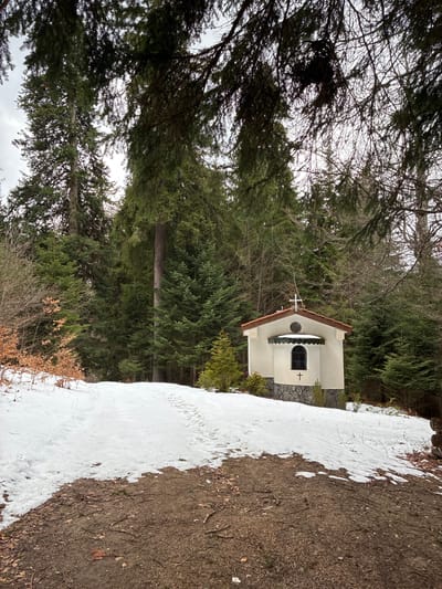 The image depicts a small chapel nestled among evergreen trees. The chapel is white with a brown-tiled roof and a cross above the entrance. A small, arched window is visible on the chapel's side. Snow covers the ground adjacent to a path. The location is unspecified; it is claimed to be in Manastir, Bulgaria. The chapel is situated within a wooded area. No people are visible. The image is oriented sideways.