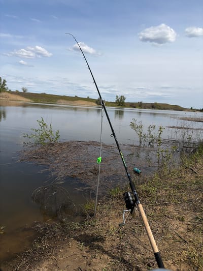 The image depicts an outdoor fishing scene along the banks of a wide body of water in Kharabali, Russia. The time of day appears to be daytime, with a bright sky featuring scattered white clouds against a pale blue backdrop.

The main subjects are fishing equipment set up on a muddy and grassy bank. A black fishing rod with a reel is prominent, angled downwards towards the water. The rod rests on a metallic rod holder that extends into the water, with a bright green clip attached to the holder. Visible text on the rod includes "REAL GM". Next to the rod, partially submerged in shallow water, is a circular fishing net (likely a keep net). A blue and green water bottle is visible on the ground near the base of the rod.

The activity taking place is fishing, with the rod actively deployed. The water surface is calm, reflecting the sky. Patches of dried vegetation and reeds are scattered on the water near the shore, and some small green bushes grow partially submerged. In the background, the body of water extends far, meeting a distant, low-lying elevated landform or hill on the horizon. The location is characterized by natural, uncultivated terrain beside a substantial water source.