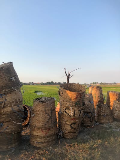 The image depicts an outdoor scene with stacks of woven baskets in the foreground, placed on the ground next to a vibrant green rice paddy. The sky above is a clear, pale blue, indicating it is likely daytime, possibly late afternoon given the warm, golden light illuminating the baskets. In the background, a few houses with red roofs are visible nestled amongst trees, suggesting a rural or semi-rural setting. A dry, twiggy branch stands upright behind one of the basket stacks. The baskets themselves are made of natural materials, with some appearing older and more worn than others. They are bound together with blue string and some have markings in red and black paint. The overall impression is one of a utilitarian collection of baskets awaiting use or storage in an agricultural landscape. The location is identified as Keboguyang, Indonesia.