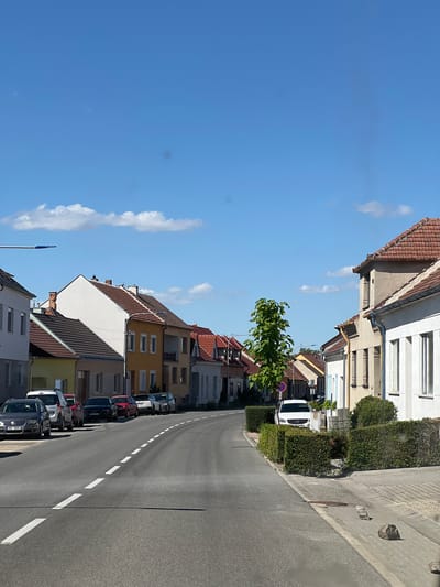 The image captures a street scene in Kostice, Czechia. The perspective is from the road, looking down a gently curving street lined with houses on both sides. The sky is a clear blue with a few scattered white clouds. The houses are of varying architectural styles, many featuring terracotta tiled roofs. On the left side of the street, several cars are parked along the curb. A white van is visible, followed by a dark gray car, a red car, and other vehicles further down. On the right side of the street, there are more parked cars, including a white car and a darker colored vehicle. The road is asphalt with white dashed lines marking the lanes. Green hedges line the sidewalk on the right side of the street. A young tree with vibrant green leaves stands prominently on the left side, near the middle of the frame. The overall impression is of a quiet, sunny day in a residential area.