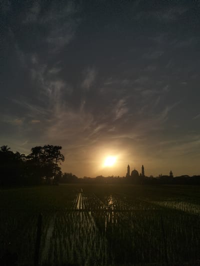 A silhouette of a mosque with minarets is set against the setting sun, its light reflecting off a flooded rice paddy in the foreground. The sky is dark and cloudy with streaks of lighter shades near the horizon. To the left, a silhouette of trees borders the field, enhancing the depth of the scene. The overall tone is serene and tranquil, with the soft glow of the sun creating a stark contrast against the dark landscape.