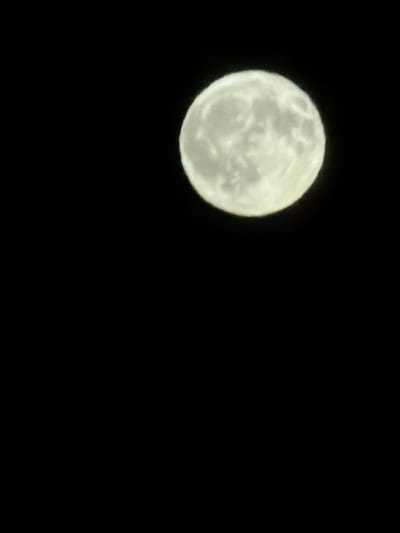 A full moon is prominently featured against a dark, starless sky. The moon, a bright, pale orb, is slightly off-center to the left of the frame. Its surface displays subtle variations in texture and shading, suggesting craters and lunar maria, though the details are softened by the image quality. The rest of the image is a deep, uniform black, emphasizing the moon's luminosity. The scene is devoid of any human presence or terrestrial objects, focusing solely on the celestial body. The time of day is clearly night, given the darkness of the sky and the presence of the moon. There are no indicators of weather conditions. The location context suggests this image was taken in Le Péage-de-Roussillon, France, but there are no specific visual cues within the image itself to confirm or deny this. No text is visible in the image. The overall mood is serene and expansive, highlighting the solitary beauty of the moon in the vastness of space.