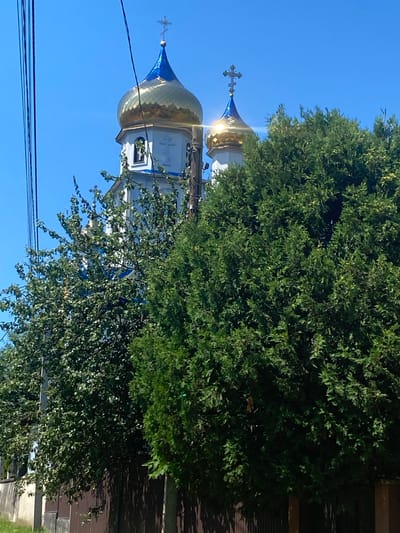 The image shows the golden domes and blue spires of an Eastern Orthodox church in Luh, Ukraine, partially obscured by lush green trees. The sun is shining brightly, casting a warm glow on the scene, suggesting it is midday. The sky is a clear, vibrant blue, indicating fair weather. The church has white walls with blue accents and is topped with ornate crosses. The foreground is dominated by the dense foliage of the trees, some of which have delicate, light-colored leaves, while a larger tree with darker, fuller foliage provides a backdrop. Power lines are visible in the lower portion of the image, stretching across the sky. The scene evokes a sense of tranquility and natural beauty, with the spiritual architecture of the church standing in harmony with the surrounding nature. No people are visible in the image, and there is no discernible text.