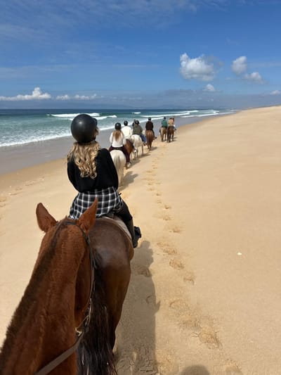 A group of seven individuals is depicted riding horses in single file along the sandy beach in Grândola, Portugal. The perspective is from behind the last rider in the procession, who has long blonde hair, wears a black helmet, a black long-sleeved shirt, a black and white plaid shirt tied at the waist, and dark riding pants with black boots. This rider is mounted on a brown horse with a visible brown bridle.
Ahead, six additional riders, all wearing helmets and various light and dark colored equestrian attire, follow in sequence on horses of brown, light brown, and white/grey coloration. The horses are walking parallel to the ocean, leaving distinct hoof prints in the wet sand.
To the left, the Atlantic Ocean features light blue-green water with small breaking waves rolling onto the shore. A distant coastline or landmass is visible on the horizon line to the left. The sky above is largely blue with scattered white cumulus clouds, particularly concentrated towards the left horizon. The beach itself is wide, composed of light-colored sand, and extends far into the distance on the right, appearing undeveloped.