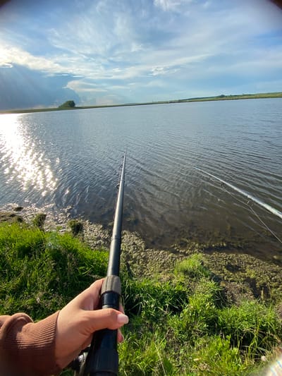A person's hand, with manicured nails and wearing a brown sweatshirt, holds a fishing rod. The fishing rod extends towards a body of water, likely a lake, with a shimmering reflection of the sun on its surface. The shoreline is covered in green grass and some algae. In the distance, the sky is dramatic with clouds and sun rays breaking through. The scene is set during daylight hours. This image is located in Taimurzino, Russia.