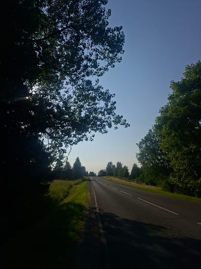 The image depicts an asphalt road with white lane markings, stretching into the distance under a clear blue sky. Lush green trees line both sides of the road, with a sunbeam peeking through the leaves of a tree on the left, casting dappled shadows on the grass verge. The scene is set in Tarpežerė, Lithuania, a tranquil location characterized by its natural beauty and the open expanse of the road. The lighting suggests it is daytime, possibly morning or late afternoon, given the low angle of the sun. The environment appears peaceful and undisturbed, with no people or vehicles visible.