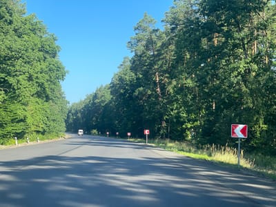 The image shows a paved road lined with dense green trees on both sides. The road curves to the left, and several traffic signs indicating a sharp turn are visible along the right side of the road. The sky is clear and blue. A white van is seen driving away in the distance on the left side of the road. The scene appears to be a rural or forested area.