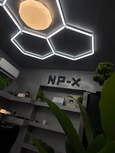 The image depicts an indoor scene with a modern aesthetic. The walls are primarily painted in a dark, matte gray. On the left wall, a cluster of three interconnected hexagonal light fixtures is mounted. One of the hexagons contains a circular, multifaceted light source with a warm yellow hue.

On the adjacent wall, the letters "NP-X" are mounted vertically in a simple, sans-serif font. The wall also features built-in shelves displaying various items including potted plants, certificates, bottles, and other decorative objects. A section of an air conditioning unit is visible near the bottom of the wall. The right side of the image is dominated by large green leaves of a plant, obscuring the view of the background.

The image contains no people, actions, or interactions. The environment appears to be a modern office space or studio. The location, Dolni Tsibar, Bulgaria, cannot be determined from the image alone.