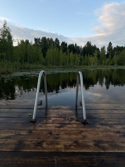 The image depicts a wooden pier extending into a calm lake, with a pair of metal ladder rungs rising from the water and resting on the pier. The pier is constructed from dark, weathered wooden planks, some of which appear wet. Two metal ladder handles are prominently featured, one on the left and one on the right, arching upwards. The lake's surface reflects the sky and the surrounding trees. The background is dominated by a dense forest of green deciduous and coniferous trees, with birches being noticeable among them. The sky above is a mix of pale blue with scattered white and light gray clouds. The overall setting suggests a serene natural environment, possibly a recreational area near a body of water. The location is identified as Pchelka, Russia.