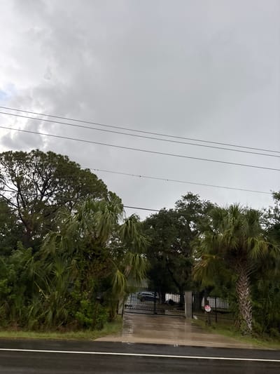 The image captures a street view of an overcast sky over a residential area. In the foreground, a wet asphalt road with a white line marking runs horizontally. Beyond the road, a lush green landscape with various trees, including palm trees, is visible. A gated entrance to a property is present, with a dark-colored vehicle partially visible inside. The ground in front of the gate appears wet, suggesting recent rain. Power lines are strung across the sky. The scene is devoid of any people. The environment suggests a suburban or tropical setting in Bradenton, United States, given the presence of palm trees and the general landscape.