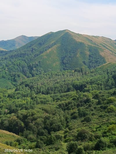 A panoramic view of rolling, forested hills under a hazy sky in Тарханка ауылдық округі, Kazakhstan. The foreground shows a densely wooded slope with various shades of green foliage, interspersed with patches of grass and low-lying bushes. As the eye moves up and into the distance, the terrain continues with more extensive forests covering the lower and mid-sections of the hills. The upper portions of the hills and the distant mountains are covered in a mix of scrubby vegetation and grass, with some areas appearing dry and lighter in color. The peaks of the furthest mountains are rounded and softly defined against the pale sky, which has a slight bluish tint. No people or man-made structures are visible in the image. A timestamp in the lower left corner reads "2026/06/28 14:06".