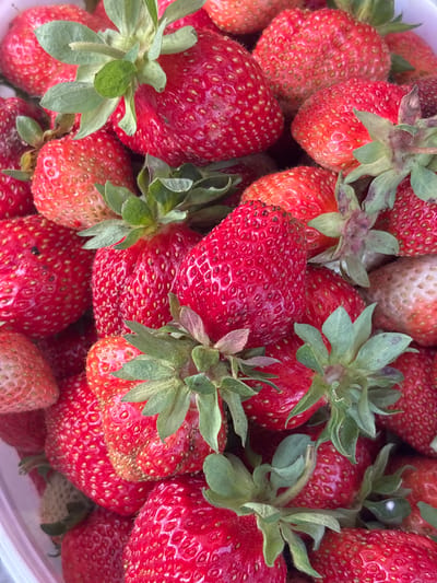 The image is a close-up, overhead shot of a pile of fresh, red strawberries, likely in a bowl. The strawberries are the sole subject, filling the frame. They vary slightly in size and ripeness, with some exhibiting a deeper red hue and others a lighter, more orange-red color. The characteristic seeds (achenes) are visible on the surface of each fruit. Green stems and leaves are attached to the tops of many of the strawberries, adding a natural, freshly picked appearance. Some of the strawberries have slight blemishes or imperfections, suggesting they are not commercially perfect but are likely intended for home consumption. The lighting appears to be natural, possibly from an overhead source, illuminating the texture and vibrant color of the fruit. There is no visible text. The scene suggests a preparation for eating, or perhaps a harvest from a farm. Given the location context of Yermolino, Russia, this could be a scene of local produce being enjoyed.