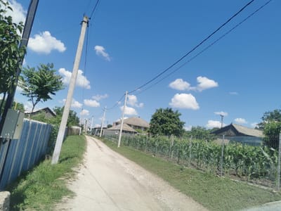 The image depicts a rural scene in Carbuna, Moldova, under a clear blue sky with scattered white clouds. A dirt road curves through the center of the frame, flanked by vegetation and houses. On the left, a blue corrugated metal fence runs along the roadside, next to a concrete utility pole. A small electrical box is mounted on the pole. Further along the road, a large green tree stands to the left of a house with a grey, sloped roof.
On the right side of the road, a meticulously maintained cornfield is visible, enclosed by a wire fence. Behind the cornfield, more houses with similar grey roofs can be seen, nestled amongst trees. Several utility poles with power lines stretch across the sky, indicating the presence of infrastructure. The overall impression is one of a quiet, sun-drenched day in a village.