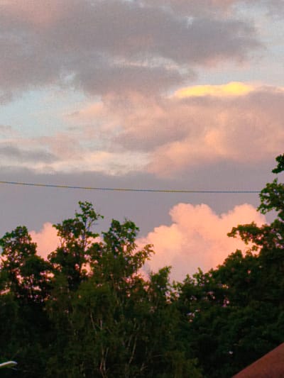 The image captures a dusky sky with soft, blended clouds painted in shades of gray, pink, and pale yellow. A thin, dark line of a wire stretches horizontally across the middle ground. Below the wire, the dark green foliage of trees fills the lower portion of the frame, their tops silhouetted against the colorful sky. The scene appears to be an outdoor view in the city of Kotovsk, Russia, with the natural elements of the sky and trees dominating the composition.