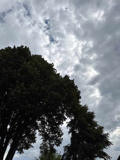 The image shows the tops of two large, leafy trees against a cloudy sky. The tree on the left is silhouetted and its dark foliage fills the lower left portion of the frame. The tree on the right is also dark but more of its structure is visible, with its branches reaching upwards. The sky is filled with a mix of dark gray storm clouds and patches of lighter, brighter sky, suggesting an overcast day with some breaks in the clouds. The scene appears to be outdoors, likely in a park or a natural area within Delbrück, Germany. No people or specific landmarks are visible.