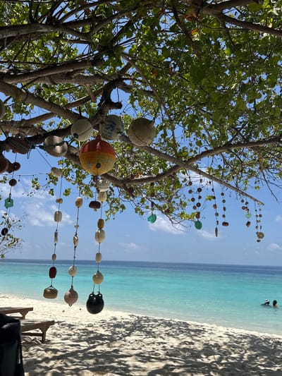 The image shows a beach scene in Ukulhas, Maldives. Turquoise water and a white sand beach are visible, with people in the distance in the water. A tree in the foreground is decorated with various ornaments including buoys and disc-shaped objects strung on lines. The sky is blue with scattered clouds. The scene is captured from a low angle, looking up at the tree.
