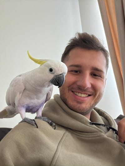 A low-angle selfie shows a man holding a white parrot. The man, who appears to be in his late 20s or early 30s, is fair-skinned and has short brown hair and a beard. He is smiling broadly, displaying his teeth. He is wearing a light-colored hooded sweatshirt. The parrot is predominantly white, with a yellow crest, a dark beak, and patches of purple feathers on its body. Its grey claws are gripping the man's sweatshirt. The background is blurred and indistinct, showing a white wall. There is no evidence in this image to suggest the scene is in the city of Веревское, Russia.