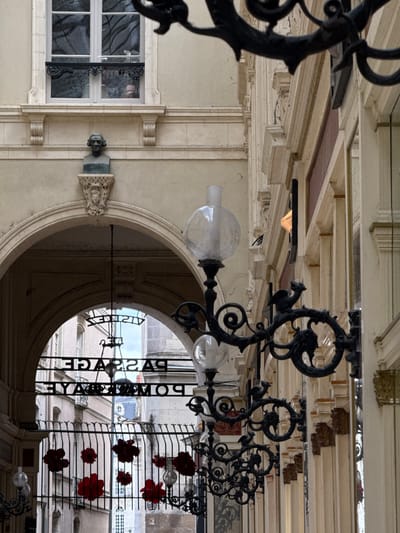 The image shows the entrance to Passage Pommeraye in Nantes, France. It is a covered shopping arcade. The facade is ornate, with arched entrances and classical architectural elements. A wrought-iron gate with red artificial flowers and small lanterns bars the entrance. Above the gate, lettering spells out "PASSAGE POMMERAYE". The lighting appears to be dim, suggesting an overcast day or interior illumination. The buildings lining the passage are tall and narrow, with multiple windows and decorative trim. The overall impression is one of historical grandeur and elegance.