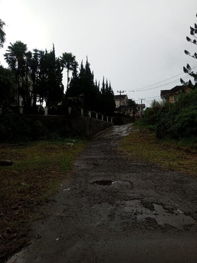 A narrow, dark paved path winds uphill, lined by greenery and trees. Buildings are visible in the distance, partially obscured by the vegetation. The sky is overcast, contributing to the somber mood. The path surface is weathered with puddles, suggesting recent rain. A low stone wall borders the path on the left, adding depth to the perspective. The overall scene evokes a sense of quiet isolation.