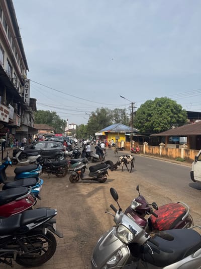 An Indian street is crowded with parked scooters and motorbikes. Some cars and people fill the background. Two black and white cows are in the middle of the road. Buildings line the street, including one with a prominent "HOTEL" sign. Overhanging trees provide shade to parts of the road. Power lines are strung across the sky, and the overall lighting suggests a sunny day.