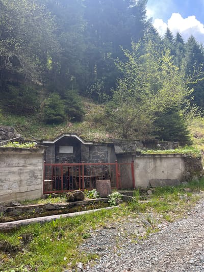 The image shows a memorial structure located in Drianovo, Bulgaria, within a mountainous region. The memorial is constructed of concrete and stone, with a red metal gate securing the front. A white plaque with inscribed text is centered above the gate, under an arch. The area around the memorial is overgrown with grass and other vegetation. A gravel path is visible to the side. The background features a dense forest of coniferous trees, partially obscured by fog or mist. The sky is visible at the top of the frame with scattered clouds.