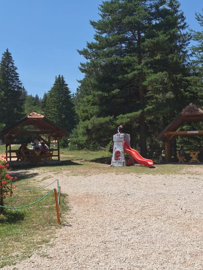 In MZ Trebević, Bosnia and Herzegovina, a children's playground is depicted under a clear blue sky amidst a dense forest of pine trees. To the left, a covered picnic area with wooden tables and benches is occupied by several individuals. To the right, a red plastic slide is attached to a gray, castle-shaped play structure. A young boy is standing at the top of the structure, about to slide down. A gravel path runs through the foreground, bordered by a low rope fence and some red flowers. The overall scene suggests a recreational area within a natural, forested environment.
