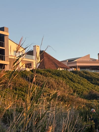 The image, oriented vertically, captures a serene coastal or hillside residential scene under a clear, light blue sky. The warm, golden light suggests either early morning or late afternoon.
In the immediate foreground, tall, thin grasses and reeds, some dry and brown, others green, partially frame the view. Behind this, a dense, verdant expanse of bushes and shrubs covers a gentle slope.
Several modern buildings are nestled into this landscape. A prominent mid-ground structure features a distinctive dark, sloped roof (possibly thatched) and light-colored walls. Adjacent to it, another contemporary building displays angular architecture, light-toned facades with dark accents, and glass-railed balconies. Further structures are partially visible in the distance.
In the upper right, partially obscured by foliage, a person is visible. They wear dark clothing and hold a white cup or mug to their mouth, appearing to drink. They are situated amidst the dense vegetation.
The scene offers a tranquil view of modern living integrated with nature. The architecture and coastal vegetation are consistent with locations like the Overstrand Local Municipality in South Africa. No text is visible in the image.