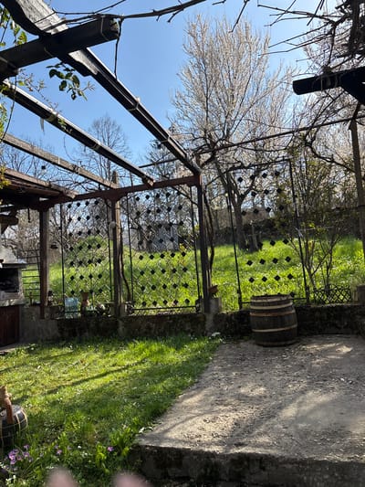 The image depicts an outdoor scene in Gorno Trape, Bulgaria. An aged iron trellis gate stands open, framing a view of a grassy area. A wooden barrel rests on the right side near a concrete path. Bare trees with white blossoms are visible in the background, under a clear blue sky. The foreground contains a portion of a weathered wooden structure with vines. The light suggests a sunny day.