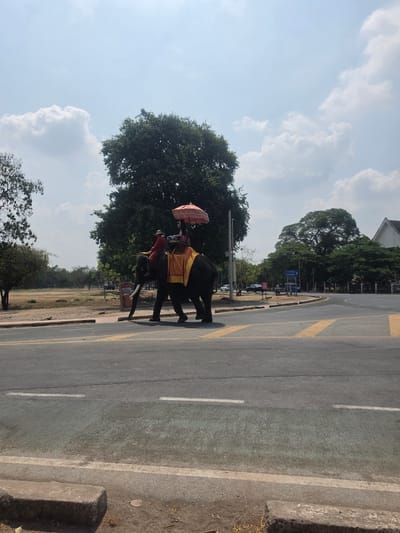 The image depicts an elephant and two riders on a paved road. The elephant has a yellow cloth on its back and one of the riders is holding an orange umbrella. The road is marked with yellow and white lines. In the background, there is a grassy field, trees, and a building. The location is the Historic City of Ayutthaya, Thailand.