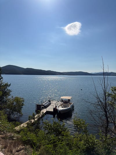 The image shows a serene lake with a boat docked at a wooden pier. The sun is shining brightly, creating a shimmering effect on the water's surface. In the distance, rolling hills covered in lush green vegetation form the backdrop. The sky is a clear blue with a single, peculiar-shaped cloud. The foreground is dominated by dense green foliage and dry grass, with a few bare tree branches extending into the frame. The scene appears to be located in the city of Zvanika, Bulgaria, likely on a calm and sunny day. There are no people visible in the image.