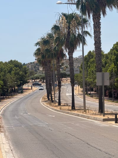 The image shows a curved asphalt road lined with palm trees in Urbanització Golf Badia, Spain. The road has white lane markings and some cracks. Several palm trees are planted on the right side of the road, with some dry fronds. A few streetlights are visible. On the left side, there is a sidewalk and more trees. In the background, there are buildings and a hilly landscape. There are two cars on the road, one white and one dark gray. There are also a few signs visible, one of which indicates "BENIDORM FINESTRAT." The sky is clear and blue.