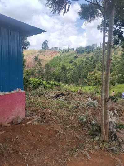 A building with blue siding and a red foundation stands on a reddish-brown, grassy hill. Debris from recent clearing litters the area. Beyond the building, a lush, green hillside climbs towards a cloudy sky. A mix of trees and cultivated fields dot the landscape. Two tree trunks stand prominently in the right foreground, partly obscuring two people in the distance.