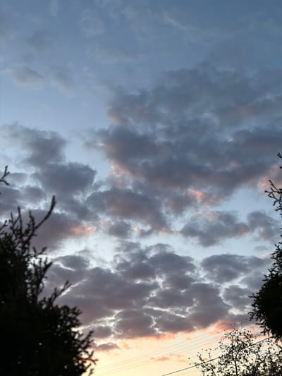 The image shows a sky with dark, textured clouds, possibly during sunset or twilight, as indicated by the warm, yellow-orange light on the right side. Tree branches, silhouetted and out of focus, frame the top and bottom of the image, suggesting it was taken from a ground-level perspective. Electrical wires are visible on the upper-right side, crossing the sky. The location is stated as Kurylivka, Ukraine, without any further discernible details related to that specific location. No people or other explicit subjects are present in the frame.