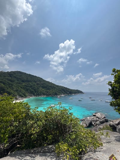 A vertical, outdoor shot depicts a tropical coastal scene likely from an elevated vantage point. The location is the Similan Islands, in Lam Kaen, Thailand. Azure water meets a rugged coastline, revealing numerous boats scattered along the shoreline. A lush, green hillside descends towards a narrow white sand beach. The upper part of the frame showcases a blue sky speckled with white, puffy clouds. In the foreground, leafy green foliage and rocky terrain obscure parts of the scenery. A sign is partially visible.