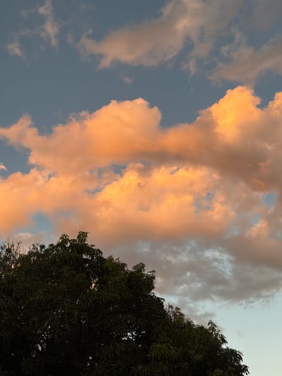 A low-angle shot captures a view towards the sky at dusk, where a large tree is positioned to the right, obscuring part of the scene. The sky is filled with clouds that are illuminated with warm orange and golden hues, likely from the setting sun. The remaining sky is a muted grey-blue. The image appears to be taken in Águas Claras, Brazil, based on the location request. No people or interactions are visible.