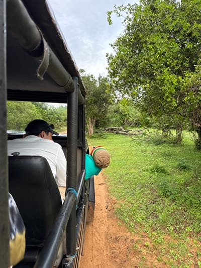 Captured from inside a safari vehicle, the image presents a view of two passengers and the driver. One passenger wears a green shirt and a tan, green, yellow, and red Rasta beanie, while the driver is clad in a white shirt and black cap. The surrounding landscape consists of green grass and lush trees under an overcast sky, suggesting a safari excursion amidst natural greenery. The vehicle's frame and seating are prominently featured in the foreground.