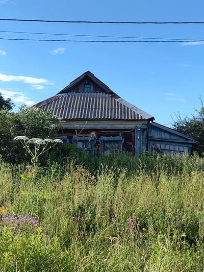 The image shows an old, weathered wooden house with a corrugated roof, partially obscured by tall green grass and vegetation. The house appears to be in disrepair, with peeling blue paint and visible wood grain. A single small blue window is visible in the gable end of the house. In the foreground, a large white plant with umbrella-shaped flowers stands prominently, while other wildflowers and tall grasses fill the rest of the frame. The scene is set against a bright blue sky with a few scattered white clouds. Power lines are visible strung across the top of the image. The setting appears to be rural, consistent with a location in Arkhangel'skoe (Sp Veselevskoe), Russia. There are no people or animals visible in the image.