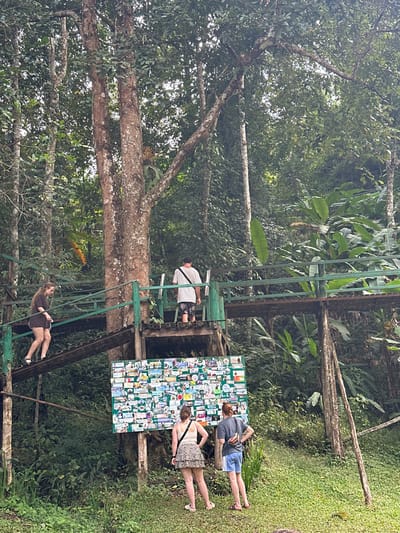 Four people are positioned on and around a wooden structure. One person sits on a swing suspended from it. Another stands on a higher platform, while two others stand adjacent to a board covered in small, colorful images. The structure is surrounded by lush green foliage and tall trees, suggesting a tropical or forested setting. The picture is rotated 90 degrees counter-clockwise.