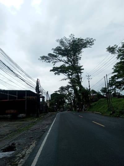 The image depicts a street scene in Kamji Na-Yekha, Bhutan, viewed on an overcast day. The sky is uniformly light gray with no visible sun. A dark asphalt road, appearing damp, occupies the central and right portions of the frame. A solid white line delineates the left edge of the road, and broken yellow lines mark the center.
On the left, a cluttered utility pole with numerous black electrical and communication wires rises. Behind it, a dark-colored building with a corrugated metal roof is visible. The adjacent pavement on the left shoulder is cracked, with visible puddles and patches of dirt and sparse vegetation. A metal grate is present near the far-left edge of the frame.
On the right side of the road, a large tree with dense green foliage stands prominently. Further down the street, additional trees line the road. Utility poles with wires are also visible along the right side. Behind the trees on the right, a grassy embankment ascends, topped with what appear to be small structures or houses in the distance.
Several motorbikes are present on the road in the mid-distance, suggesting vehicular activity. No distinct individuals or specific interactions are discernable. The environment is a mix of urban infrastructure and natural elements.