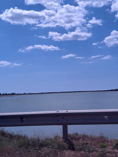 An outdoor, horizontal, eye-level shot captures a bright, sunny day with a wide expanse of blue sky dotted with fluffy white clouds. The horizon is marked by a flat, distant landmass with a line of trees and some buildings. A large body of calm, light blue water occupies the middle ground. In the foreground, a grey metal guardrail runs horizontally across the image, with blurred green and brown vegetation visible below it. The overall impression is that of a serene landscape, possibly viewed from a roadside or bridge. The scene is devoid of any visible people or animals, and no specific actions are taking place. The environment appears to be natural, with the water and vegetation suggesting proximity to a lake, sea, or river.