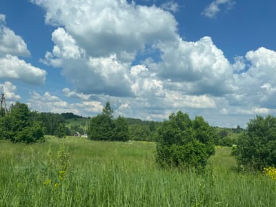 The image shows a rural landscape under a partly cloudy blue sky. In the foreground, tall green grass and some wildflowers are visible. In the middle ground, there are several lush green trees and a small building with a dark roof is nestled among them. The background consists of rolling hills covered in trees and vegetation. Utility poles and wires are present on the left side of the image. The scene is devoid of people and any discernable activity. The location is not the city of Krasnoyarsk, Russia.