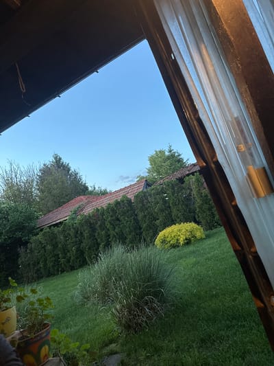 The image is taken from under a shelter, possibly a porch or awning, with a view of a backyard or garden in Kipilovo, Bulgaria. The clear blue sky is visible above. In the background, there is a house with a red tile roof partially obscured by green trees and shrubbery. The yard consists of a green lawn, various plants including some overgrown, and a rounded yellow bush. In the foreground, the camera is positioned under a translucent corrugated roofing material held by dark frames. The lighting is bright, indicating daytime.