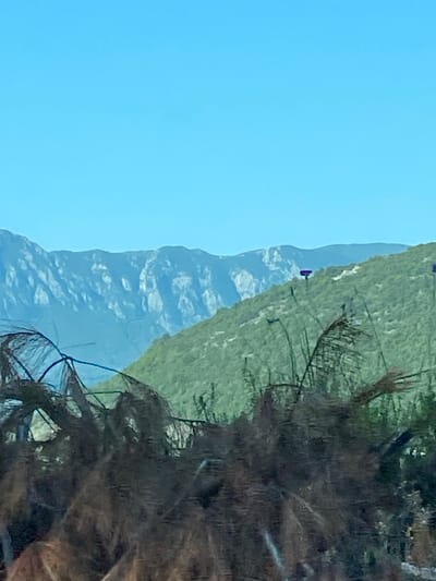 The image shows a mountainous landscape with a clear blue sky. In the foreground, there are dark, dried plants or branches, obscuring the lower part of the scene. Behind the foreground elements, a lush green mountainside slopes upwards. Further in the distance, majestic, rocky mountains rise, their peaks and ridges visible against the sky. A few small purple objects, possibly markers or flags, are visible on the green mountainside. The scene appears to be a natural outdoor environment, likely in a rural or mountainous region.