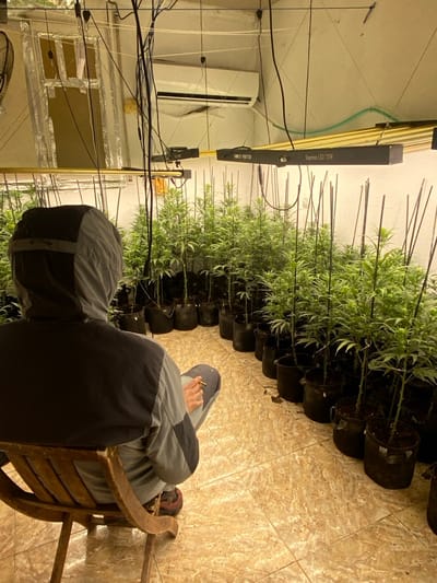 An indoor scene in Sant Adrià De Besòs, Spain, depicts a clandestine cultivation operation. A single individual, viewed from behind, sits on a wooden chair in the foreground, facing into the room. The person wears a two-tone hooded jacket (dark grey and light grey) and light grey pants, with reddish-brown footwear. They hold a hand-rolled cigarette between their fingers.
The room contains numerous cannabis plants, potted in black fabric containers, arranged in rows along the perimeter and extending into the background. Many plants are supported by thin stakes. The floor is tiled with light brown and beige mottled squares. The walls are light-colored. The ceiling supports multiple suspended artificial grow lights, including at least one "SUPERMAX LED 720W" fixture, and an air conditioning unit is mounted on an upper wall. A window in the upper left corner is obscured by reflective material. Various electrical wires and a circular fan are also visible overhead.