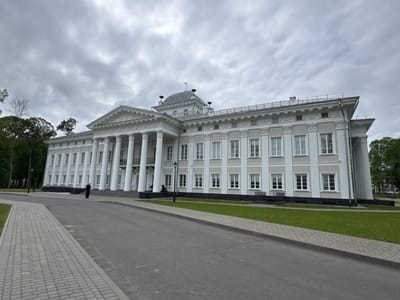 The image depicts a grand, white, neoclassical building with numerous windows and prominent columns, likely a government or historical building. The building is situated in Добасненскі сельскі Савет, Belarus. A gray paved road runs in front of it, alongside a brick-paved walkway and a patch of green lawn. The sky is overcast, casting a soft, diffused light on the scene. One person in dark clothing is walking towards the building. There are trees on either side of the building.